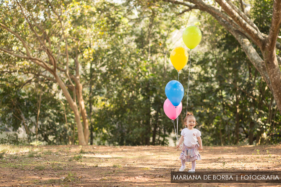 ensaio familia infantil luiza conti externo sao leopoldo (4)