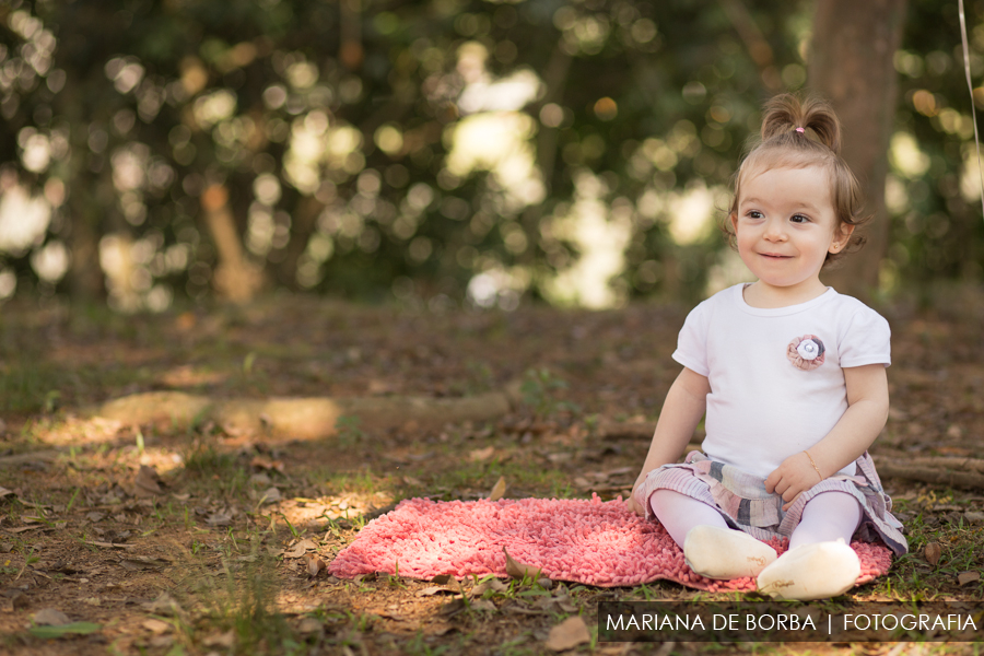 ensaio familia infantil luiza conti externo sao leopoldo (5)